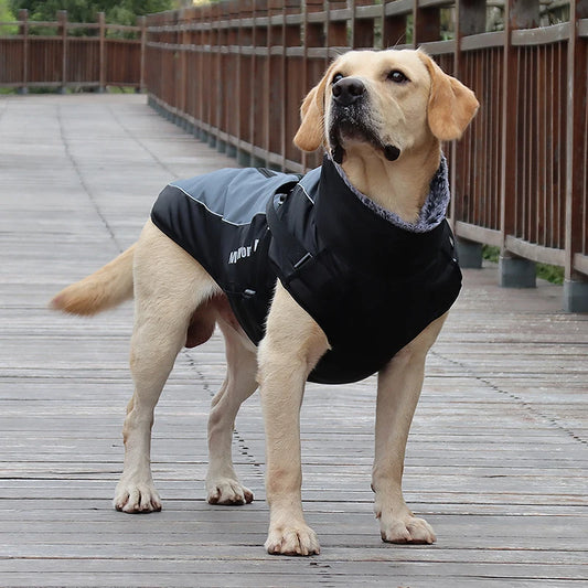 SafePaw Reflective Vest