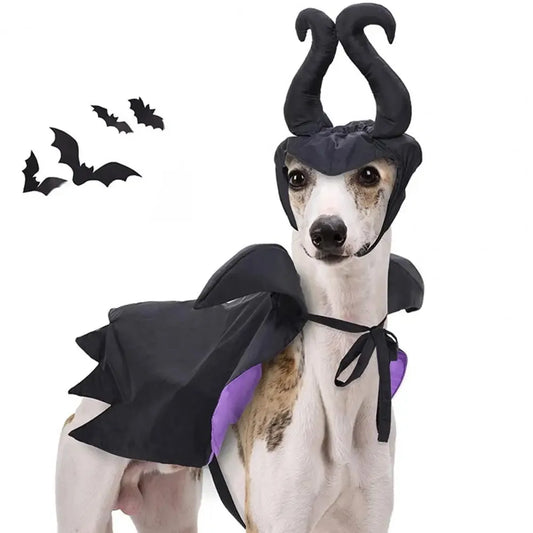 Halloween Pet Witch Costume – Cosplay Cloak & Hat for Dogs & Cats