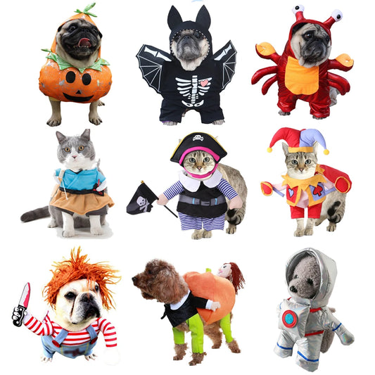 Small & Medium Halloween Costume Options for Dogs and Cats