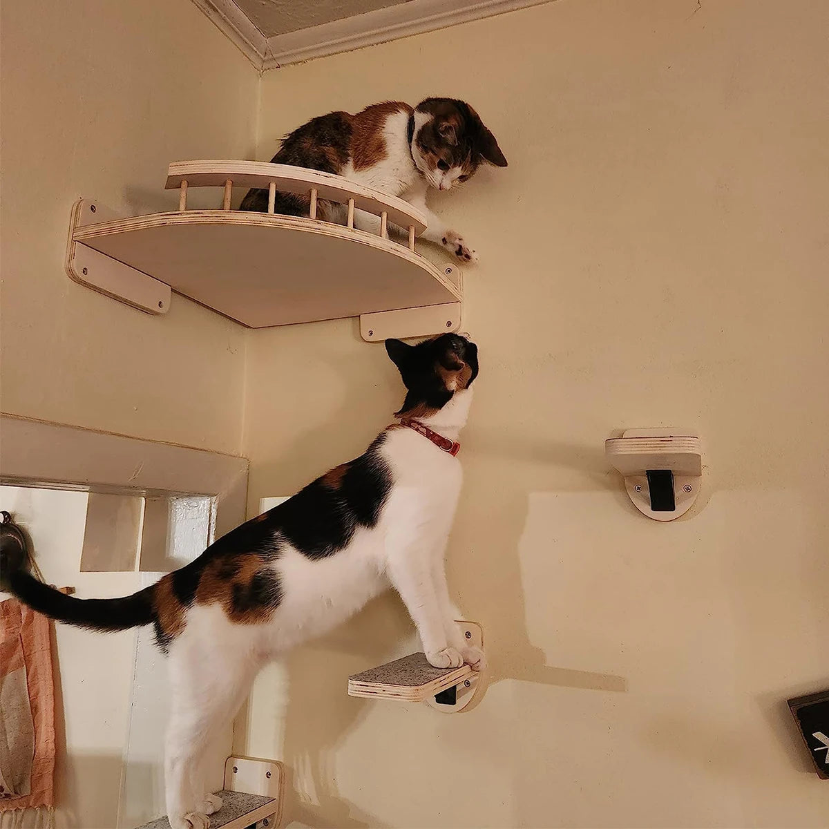 Purrfect Perch Wall Mounted Cat Shelves