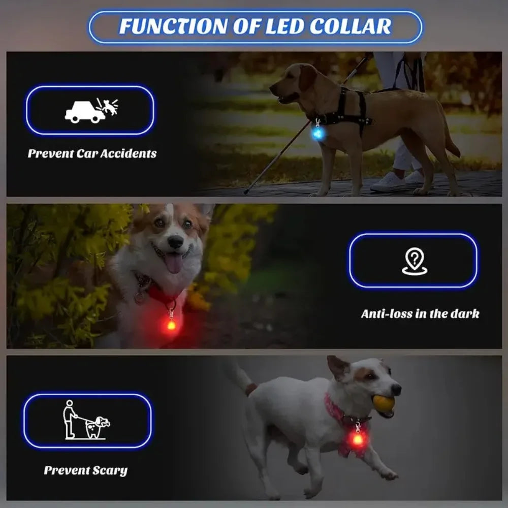 LED Pet Pendant Collar – Waterproof LED Dog Collar Light