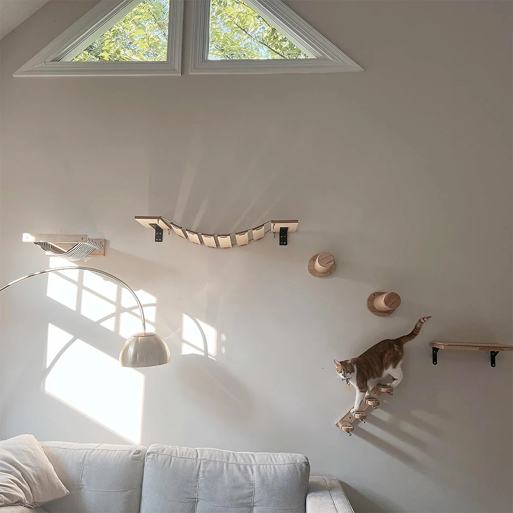 Wall-Mounted Cat Climbing Shelf Set