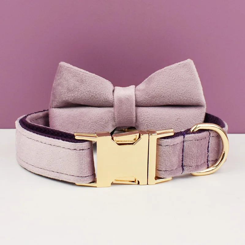 Modern Tails™ Custom Collar Set