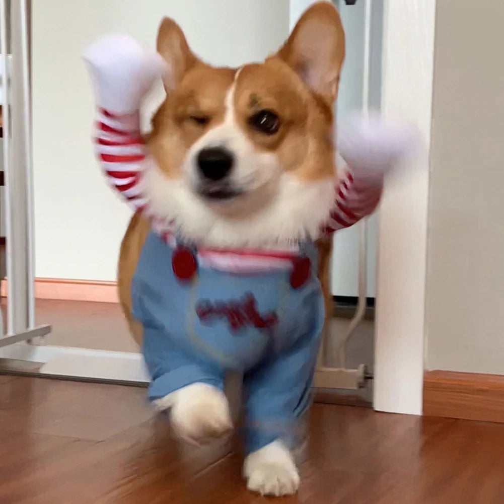 Chucky-Inspired Halloween Dog Costume 🎃