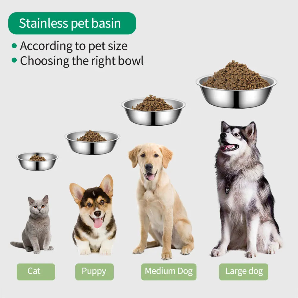 Stainless Steel Food & Water Bowl