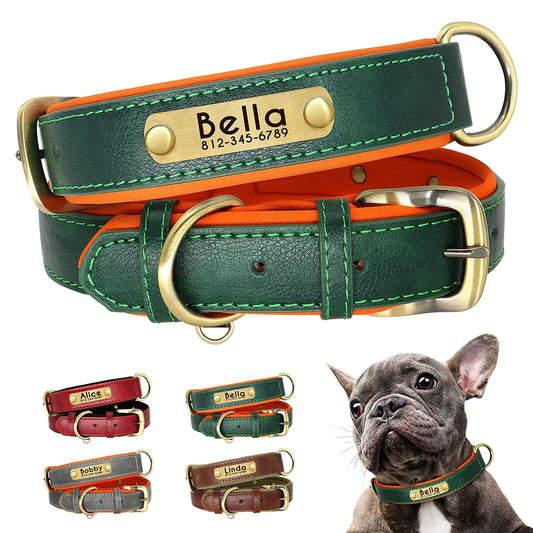 ModernLeather Custom Dog Collar