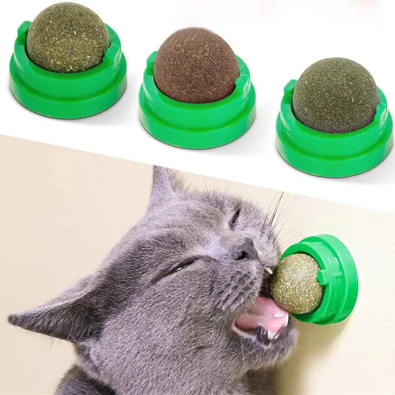 PawLicious™ Natural Catnip Wall Ball