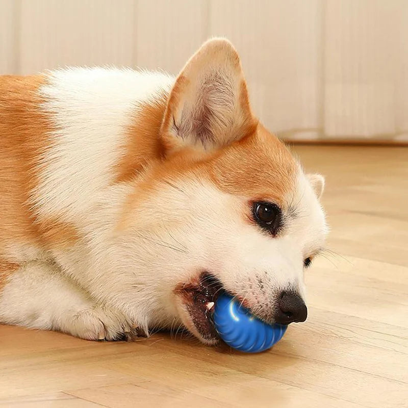 Smart USB Automatic Moving Dog Toy Ball