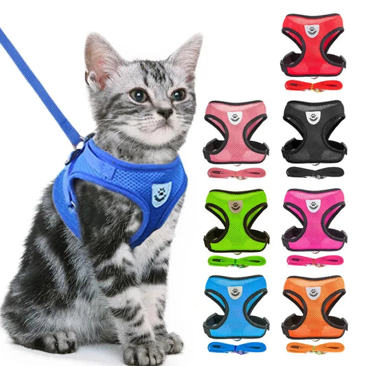 WhiskerWonder Mesh Leash & Vest Combo