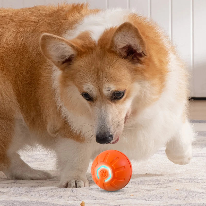 Smart USB Automatic Moving Dog Toy Ball