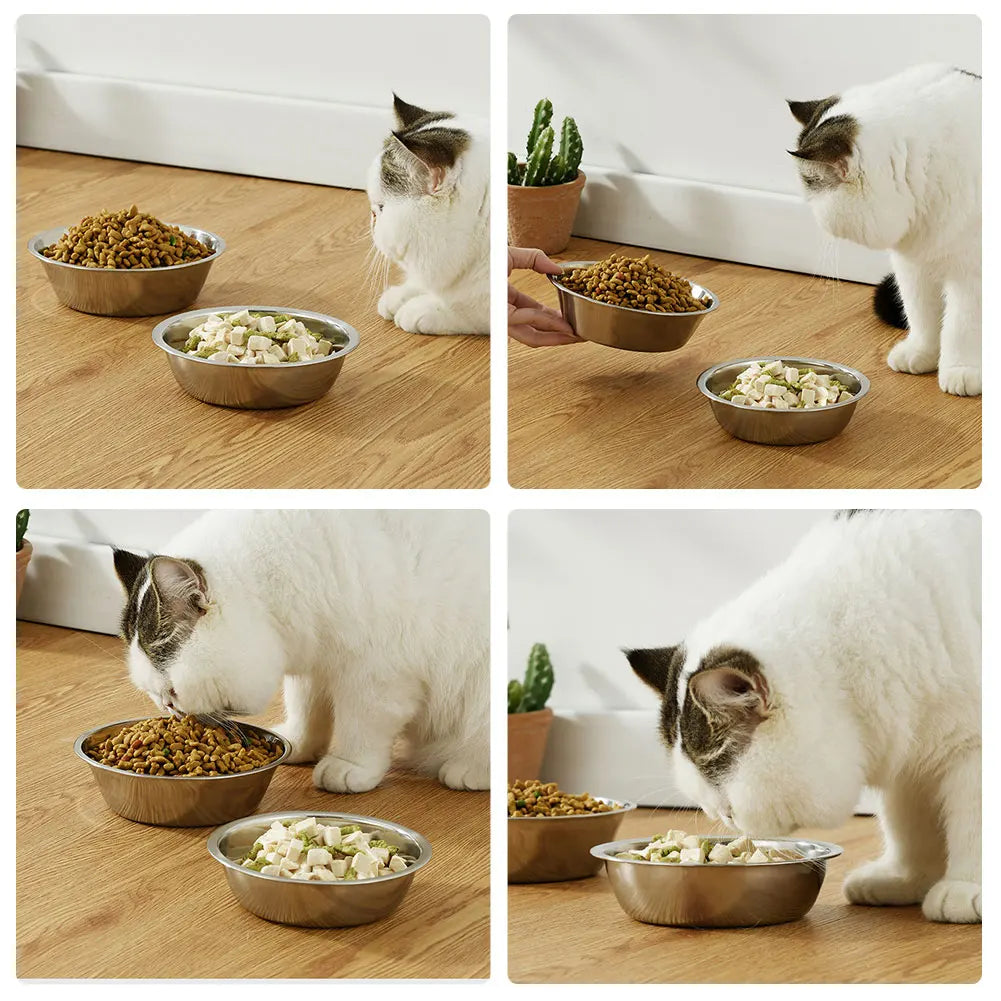 Stainless Steel Food & Water Bowl