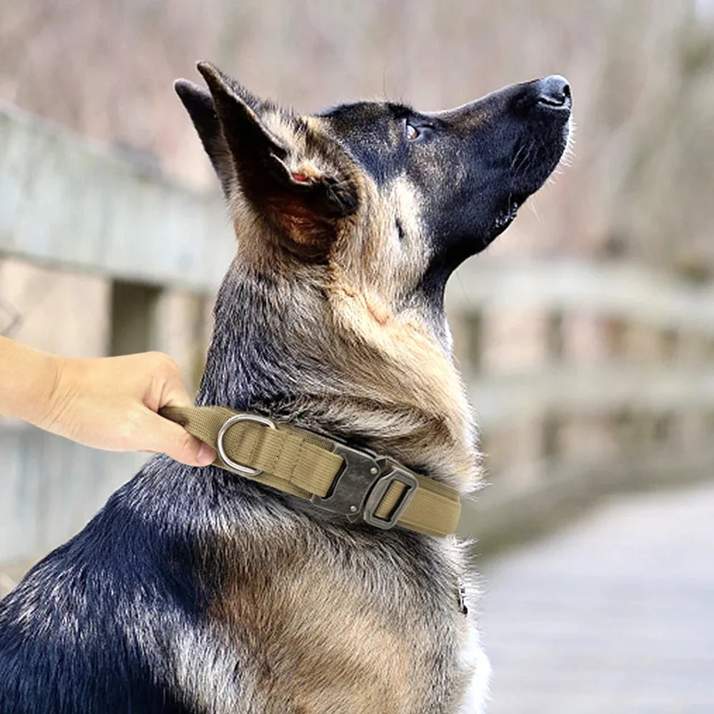 Adjustable Nylon Training Collar