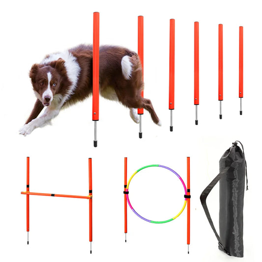 AgilePaws Dog Agility Equipment