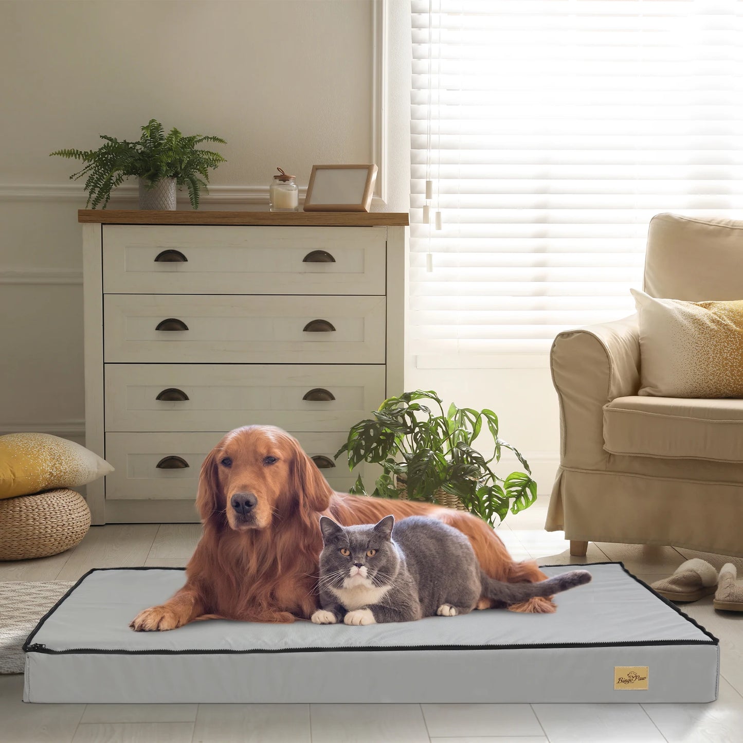 Orthopedic Dog Bed with Removable Cover