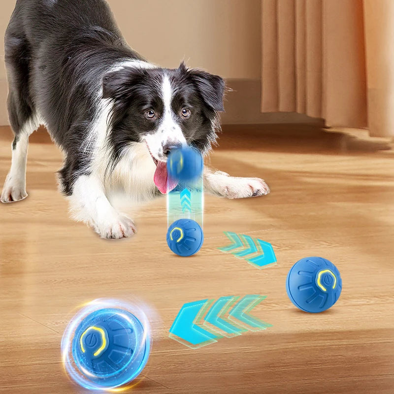 Smart USB Automatic Moving Dog Toy Ball