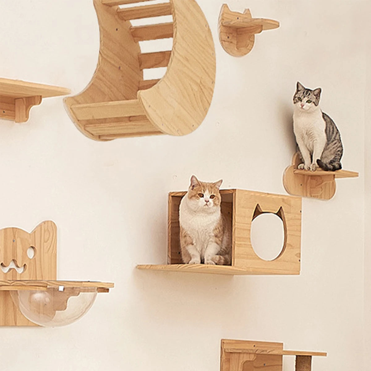 Purrfect Perch Wall Mounted Cat Shelves