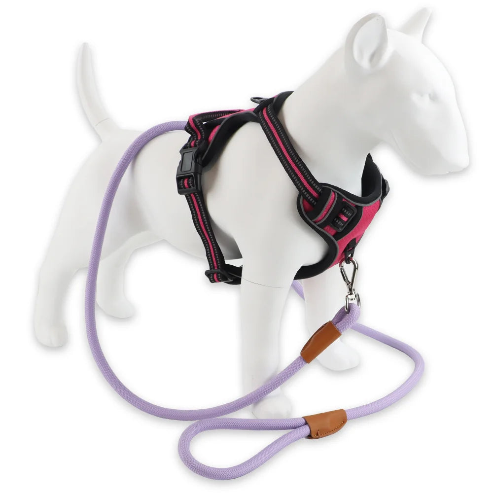 Adjustable Nylon Training Leashes