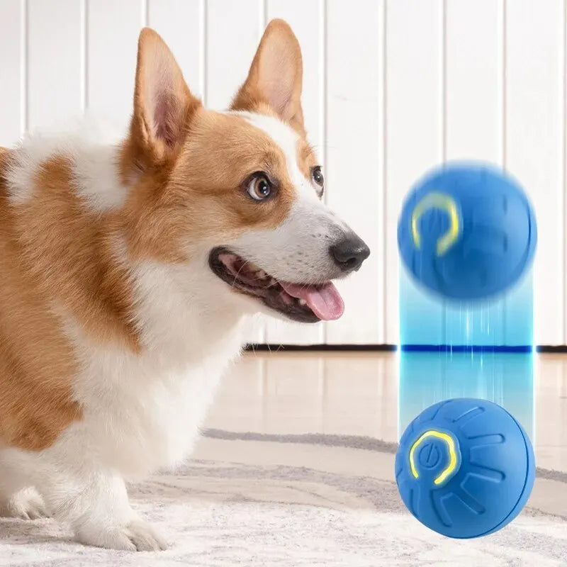 Smart USB Automatic Moving Dog Toy Ball