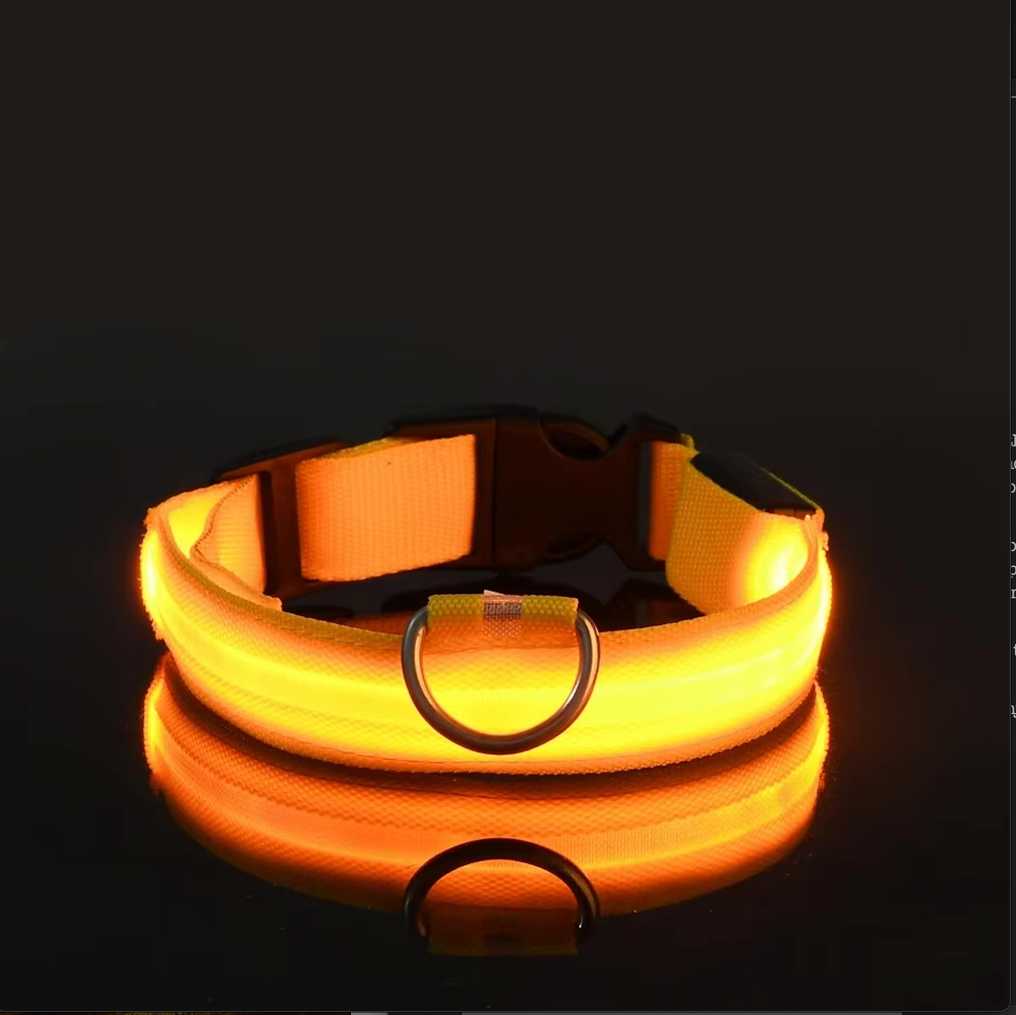 NightGlow LED Nylon Dog Collar