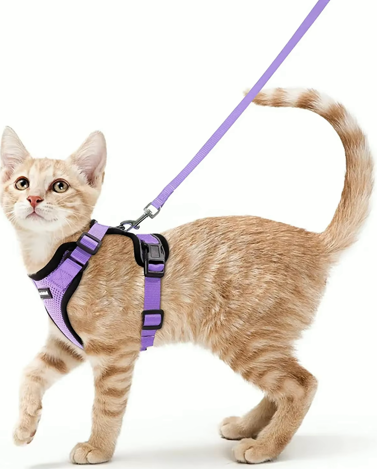 ATUBAN Cat Harness and Leash - Soft Adjustable Breathable Reflective Strips Jacket