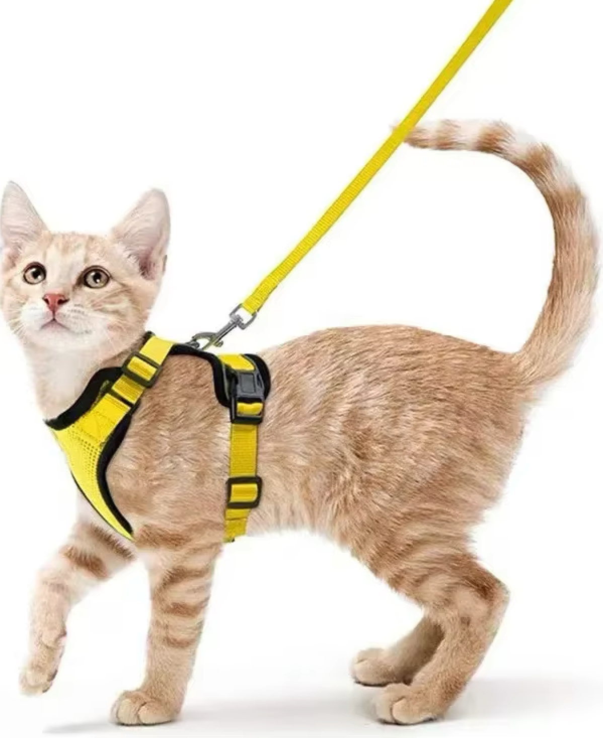 ATUBAN Cat Harness and Leash - Soft Adjustable Breathable Reflective Strips Jacket