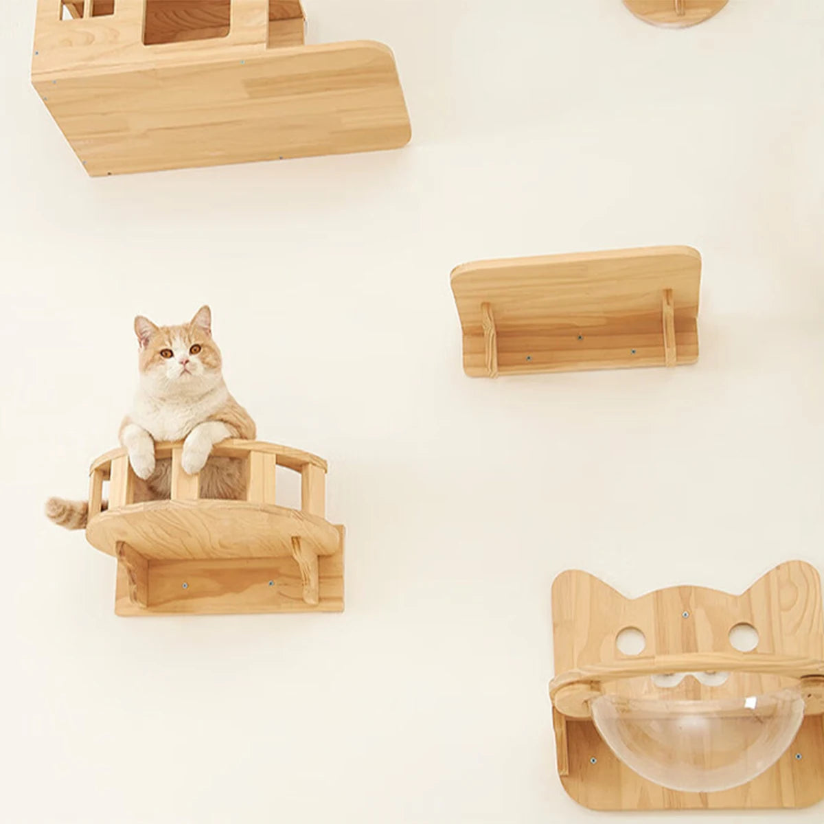 Purrfect Perch Wall Mounted Cat Shelves