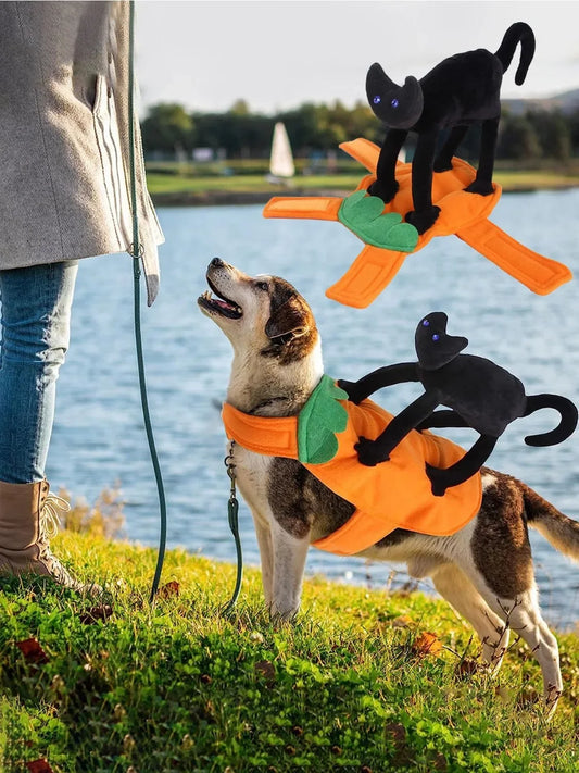 Halloween Pumpkin Cat Riding Dog Costume – Funny Cosplay for Small to Large Dogs