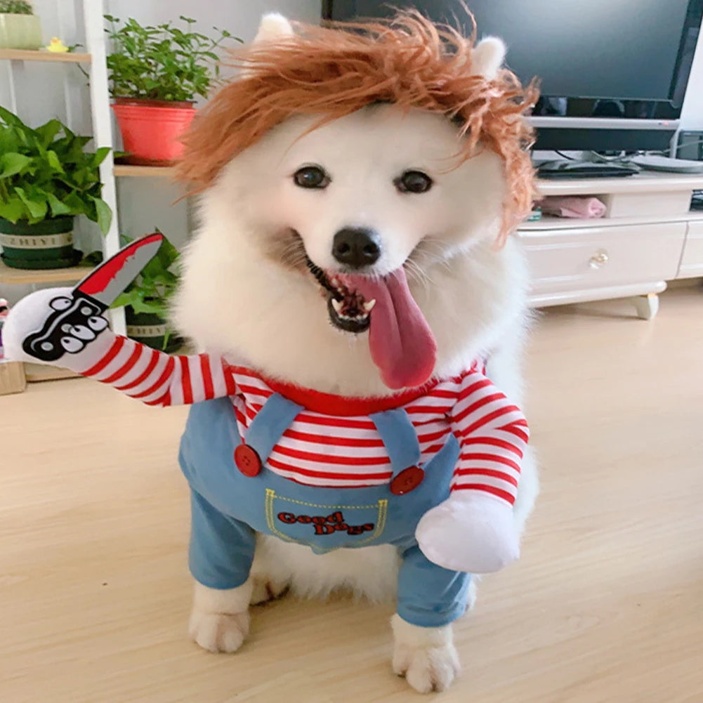 Chucky-Inspired Halloween Dog Costume 🎃