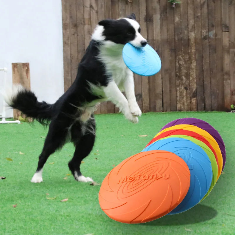 Bite-Resistant Flying Disc for Dogs